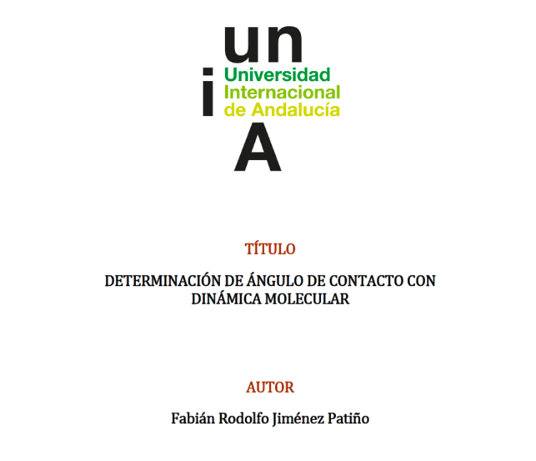 Master's Thesis - Molecular Simulation